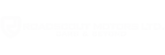 Roadscout Motors
